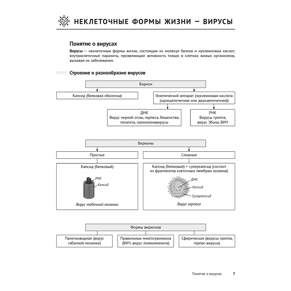 Книга "Биология. Опорные конспекты, схемы и таблицы. ЦЭ. ЦТ", Лисов Н. Д. - 6