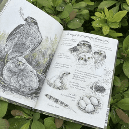 Книга "Птицы леса. Артбук", Geo Saiko, AquarelleWolf - 8