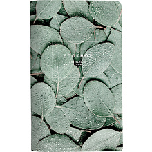 Блокнот для записи иностранных слов "Botanica эвкалипт популус", A5, 48 листов, зеленый