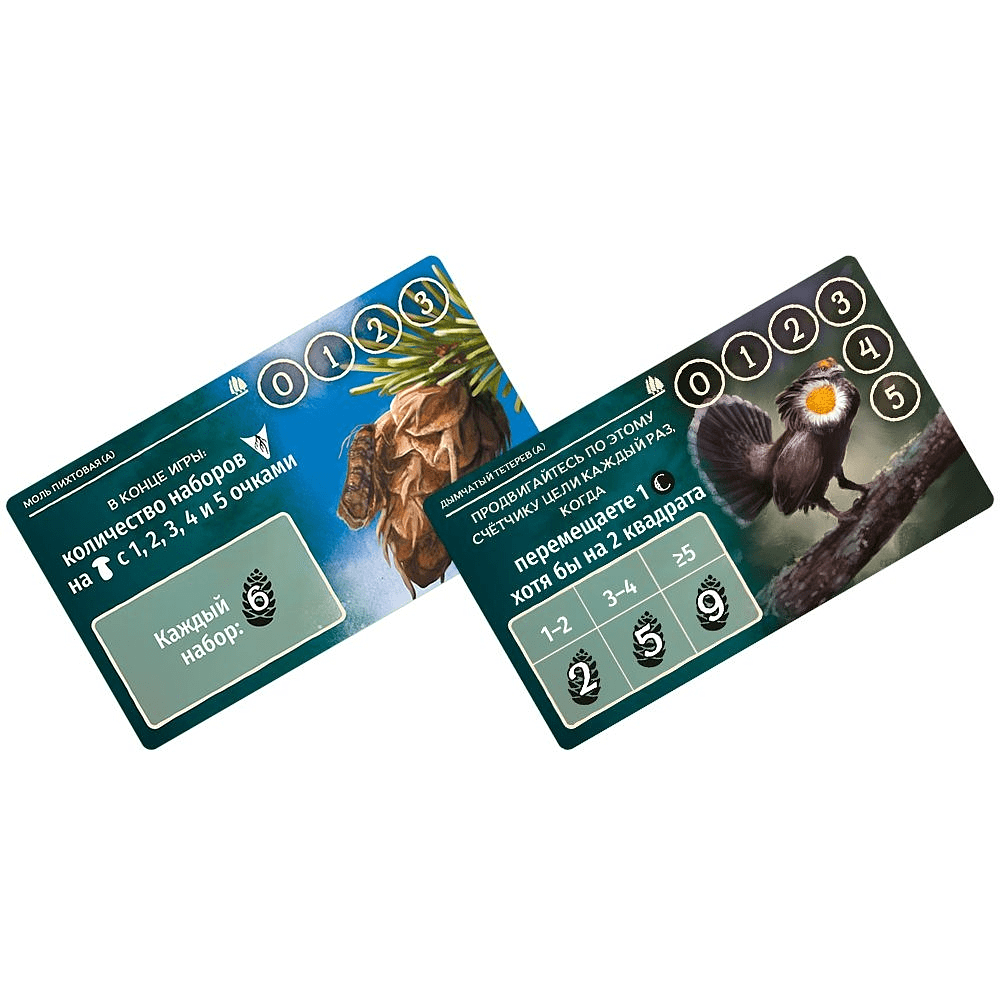 Игра настольная "Грибы и корни: Шёпот леса" - 4