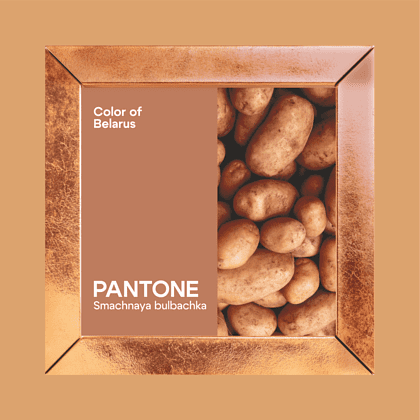 Скетчбук "Sketchmarker. Color of Belarus. Pantone Smachnaya bulbachka", 12х12 см, 140 г/м2, 80 листов, капучино - 2