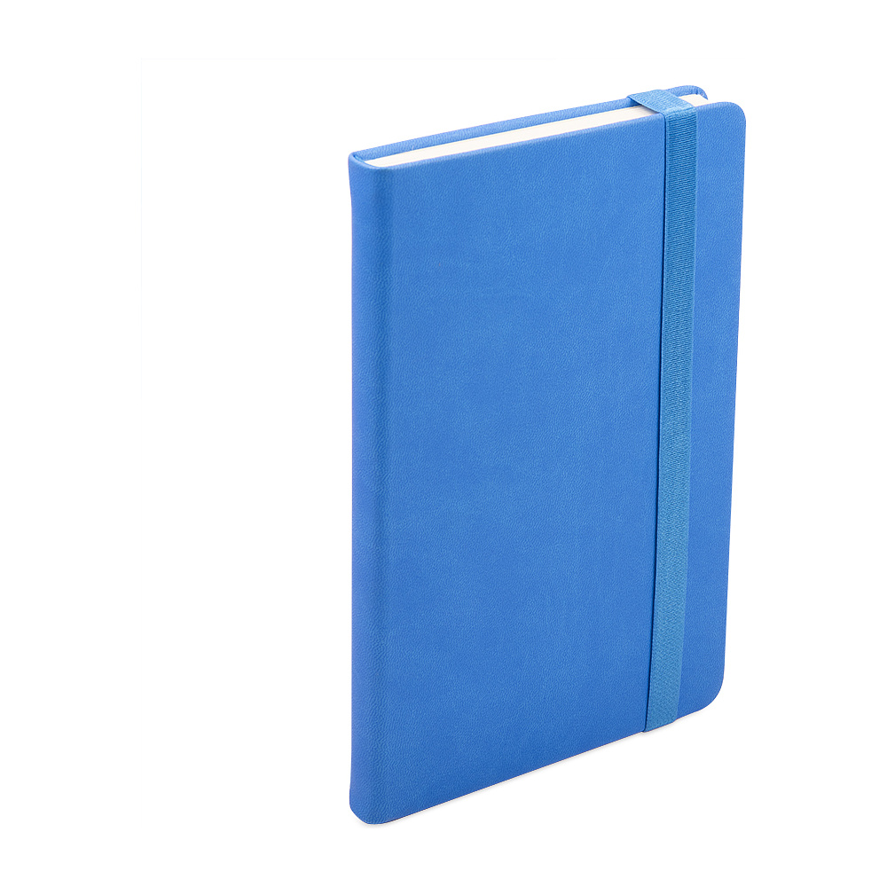 Ежедневник недатированный "Hamilton", А5, 256 страниц, светло-голубой - 3