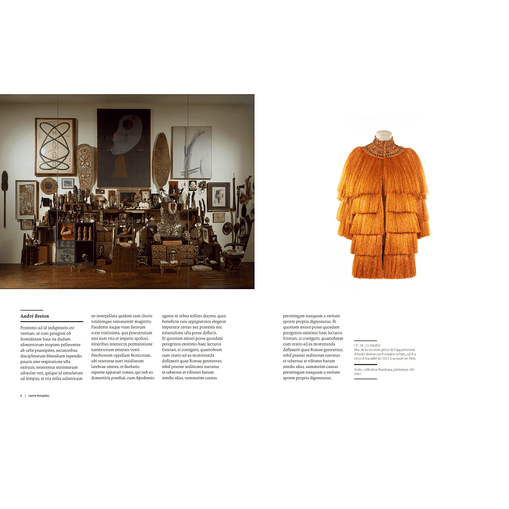 Книга на английском языке "Yves Saint Laurent and Art", Mouna Mekour,  Stephan Janson, Madison Cox  - 4