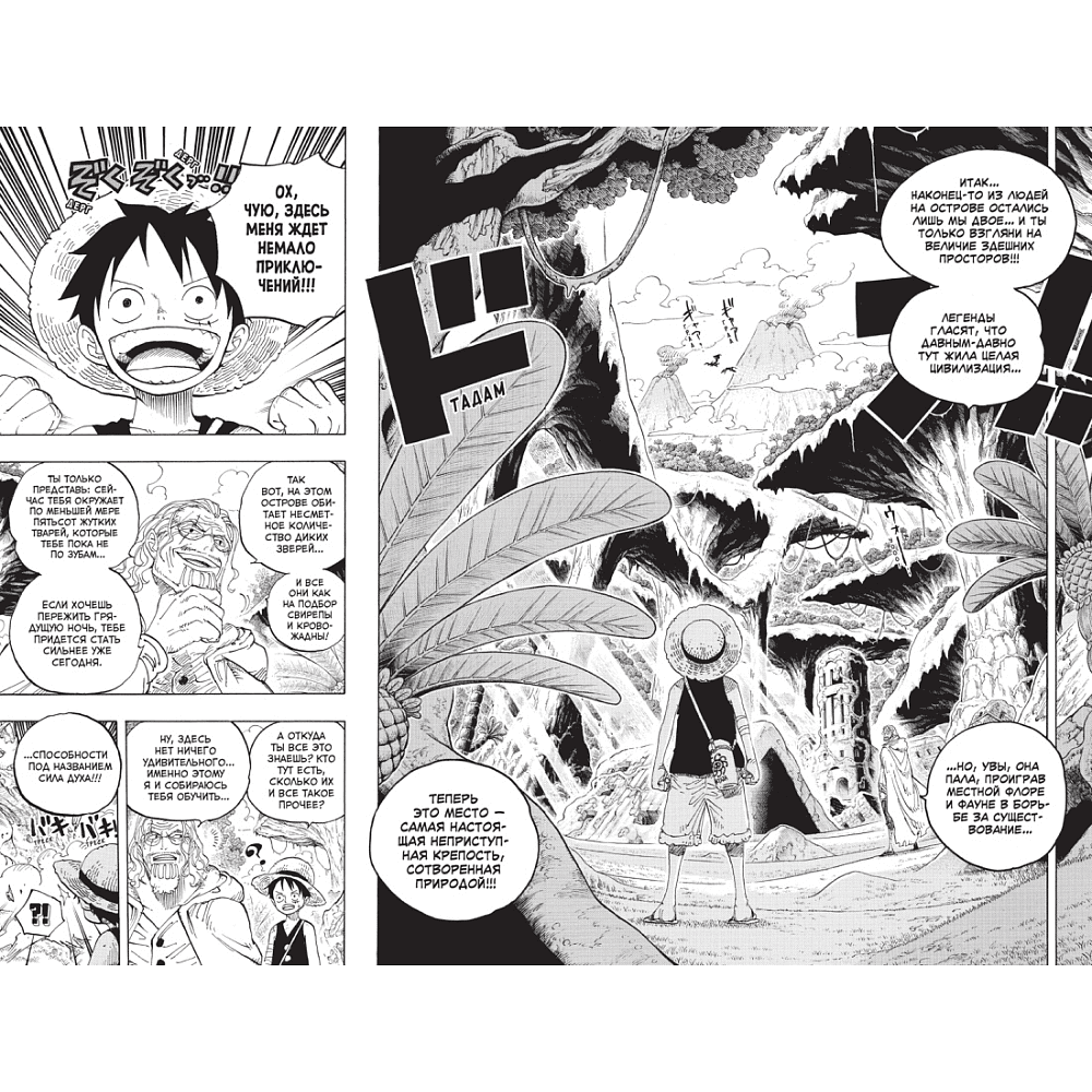 Книга "One Piece. Большой куш. Книга 21. На заре приключений: Новый Свет", Ода Э. - 4