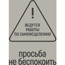 Фляжка "Просьба не беспокоить", 235 мл, серебристый