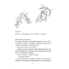 Книга "Запрет на браки в Чосоне. Том 2", Чжихе Чхон - 4