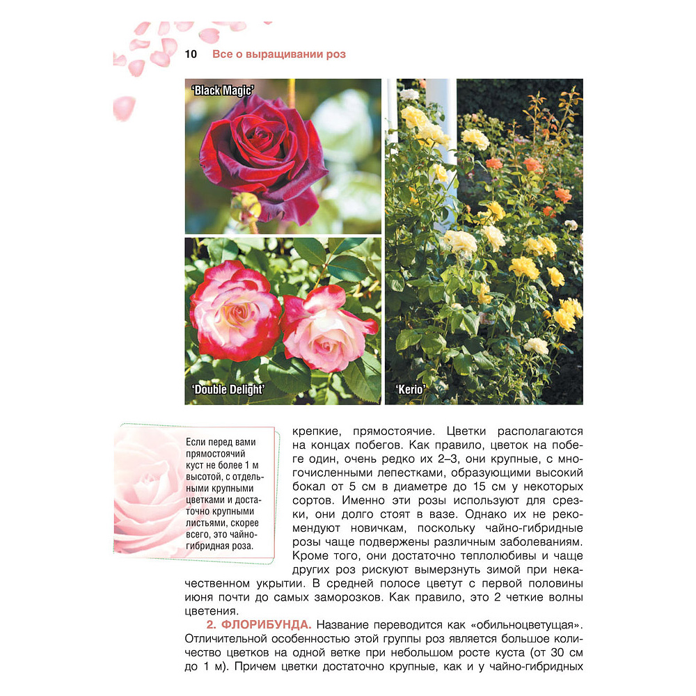Книга "Сад любимых цветов с Ларисой Кочелаевой", Лариса Кочелаева - 9