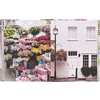 Книга на английском языке "London in Bloom", Lane G.  - 6