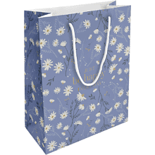 Пакет бумажный подарочный "Fleurs. Ромашки", 25х32х12 см, голубой