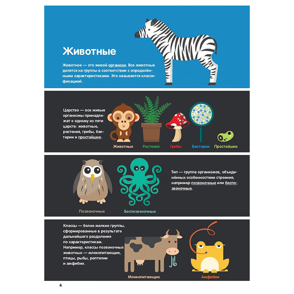 Книга "В мире животных: инфографика", Харриет Брандл - 4