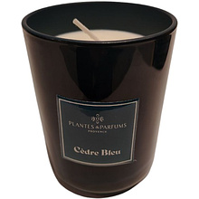 Свеча ароматическая "PLANTS&PARFUMS" Blue Cedar, 420 гр. 