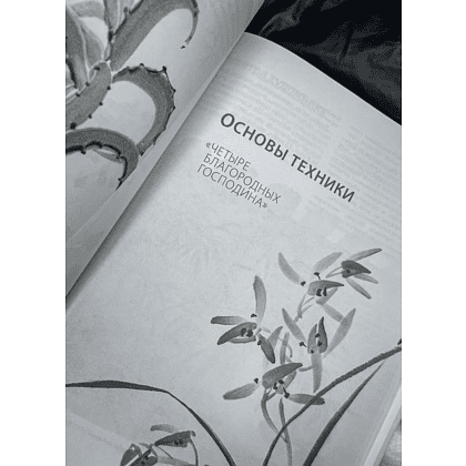 Книга "Основы японской живописи суми-э", Наталия Безвуляк - 2