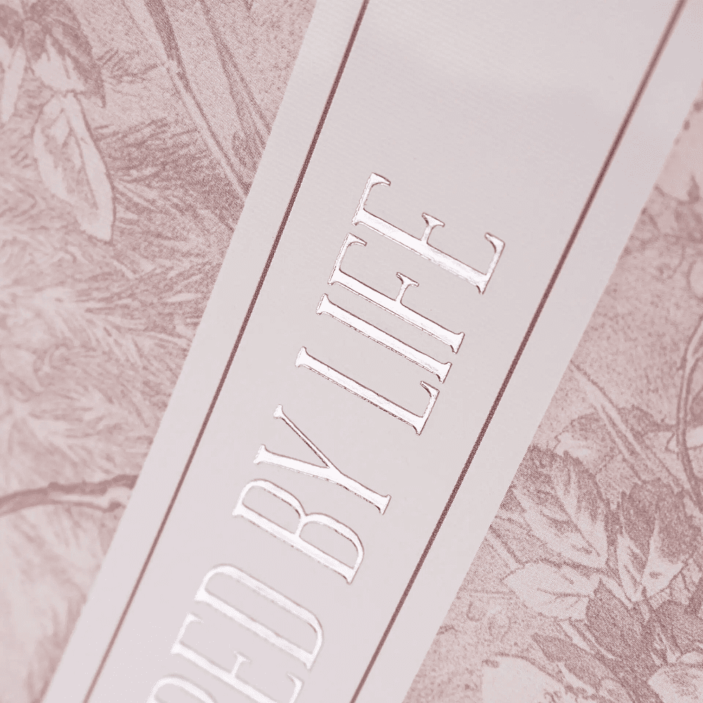 Тетрадь "Premium. Cedar Rose", А5, 120 листов, клетка, розовый - 3