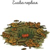 Книга "Чесночинка и ведьма", Бри Полсен - 8