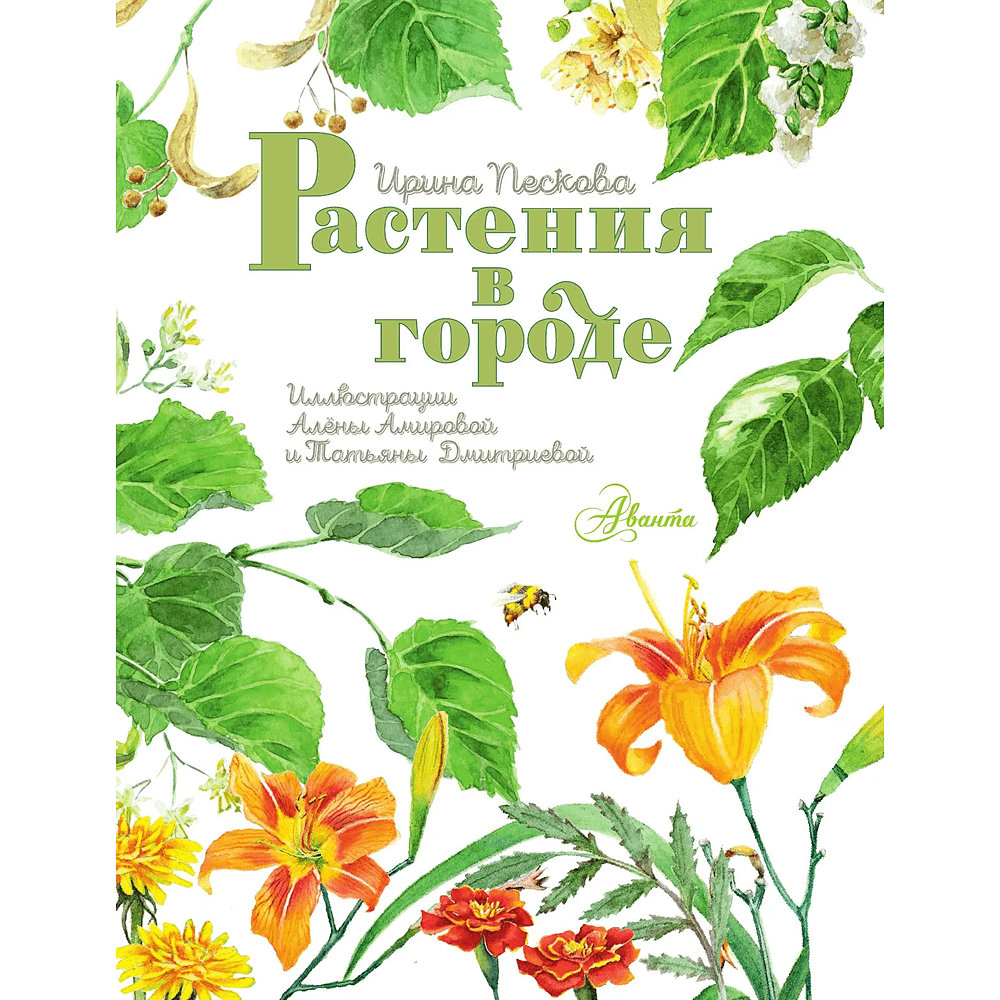 Книга "Растения в городе", Ирина Пескова - 6