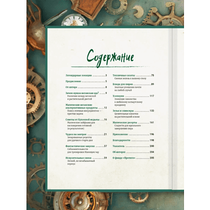 Книга "Библиотека Магии. Гарри Поттер. Кулинарная книга" - 10