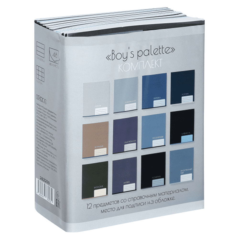 Набор тетрадей предметных "Boy's palette", А5 ,48 листов, клетка, линейка, ассорти, 12 школьных предметов