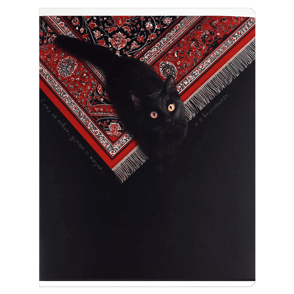 Тетрадь "Коты и ковры", А5, 48 листов, клетка, ассорти - 3