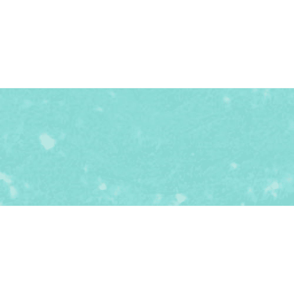Пастель сухая "Renesans", 58 бирюзовый зеленый - 2