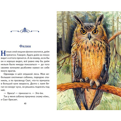 Книга "Книги для внеклассного чтения. Рассказы о зверятах (ил. В. и М. Белоусовых)" - 5