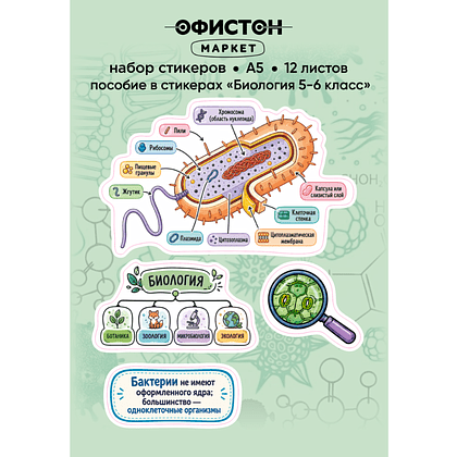 Стикерпак NALEPKING "Биология 5-6 класс", А6, 12 листов, 48 шт