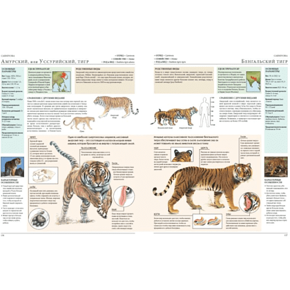 Книга "Животные мира. Моя большая энциклопедия" - 3