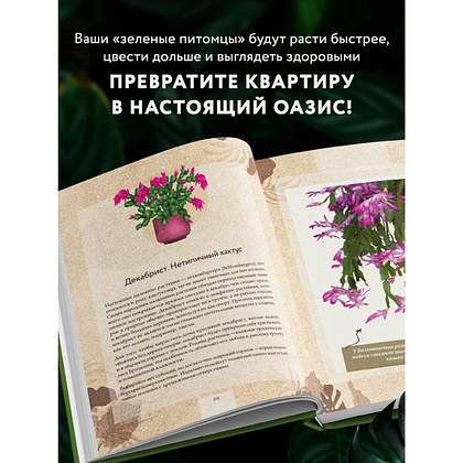 Книга "Зеленая комната. Как стать повелителем домашних джунглей", Илья Зеленов - 8