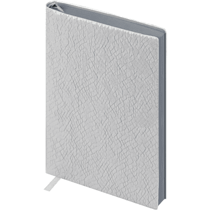 Ежедневник недатированный "Аспид Глосс", А6+, 320 страниц, линейка, серый - 2