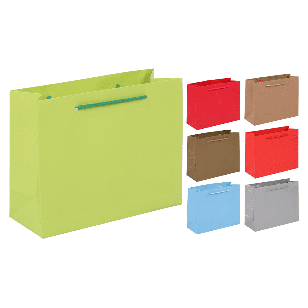 Пакет бумажный подарочный "231906", 24х19х10 см, ассорти