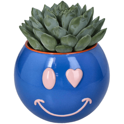 Кашпо "Smiley", полистоун, синий - 2