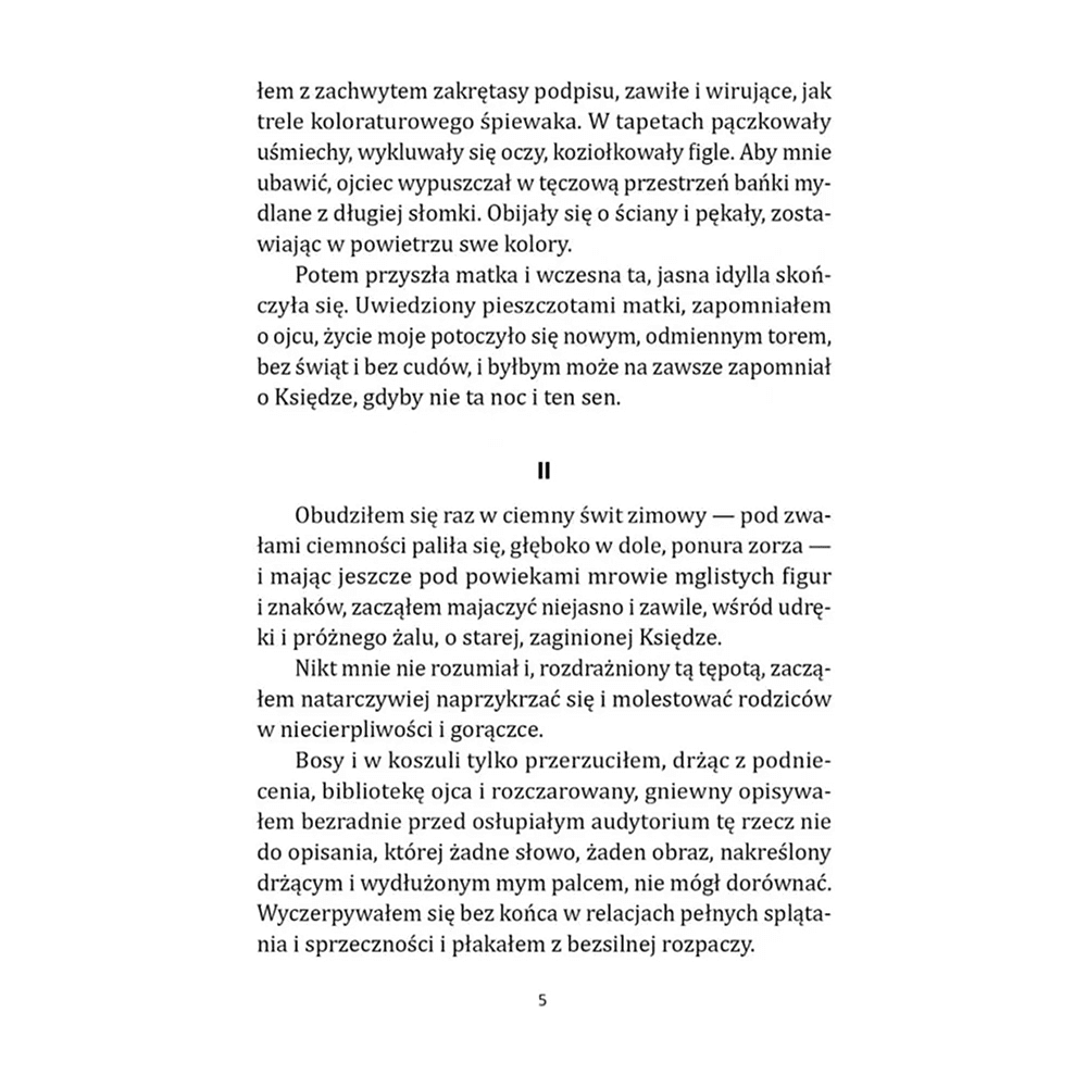 Книга на польском языке "Санаторий под клепсидрой. Sanatorium pod klepsydra", Бруно Шульц - 3