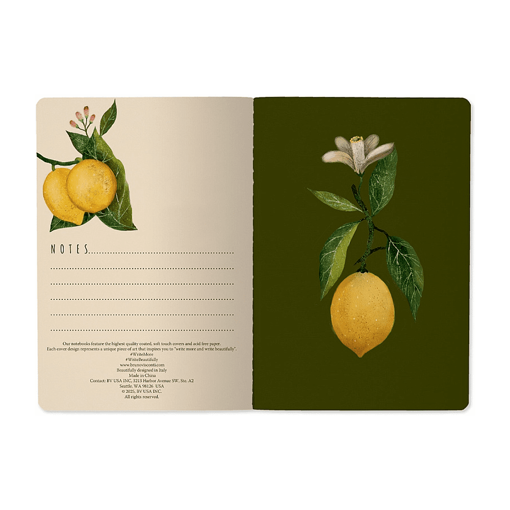 Тетрадь  "Flora. Paradise. Lemons", A5, 40 листов, линейка, белый, желтый - 3