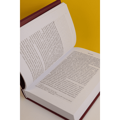 Книга "Винляндия", Томас Пинчон - 6