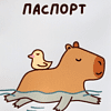 Обложка д/паспорта "Capybara and duck" ПВХ., разноцветный - 4