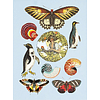 Книга на английском языке "The Antiquarian Sticker Book: An Illustrated Compendium of Adhesive Ephemera", Odd Dot - 6