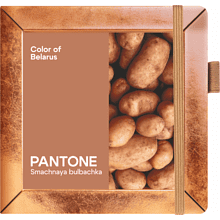 Скетчбук "Sketchmarker. Color of Belarus. Pantone Smachnaya bulbachka", 12х12 см, 140 г/м2, 80 листов, капучино