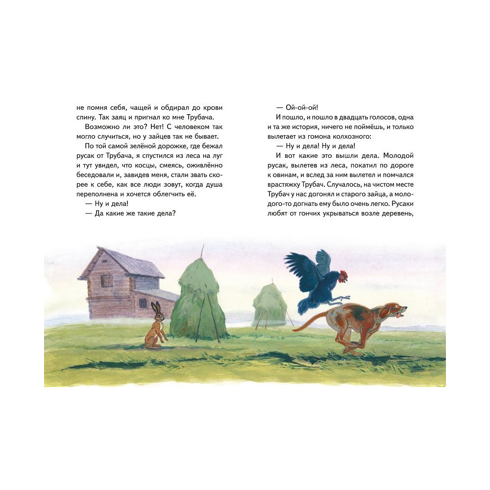 Книга "Книги для внеклассного чтения. Рассказы о природе (ил. С. Ярового)", Михаил Пришвин - 5