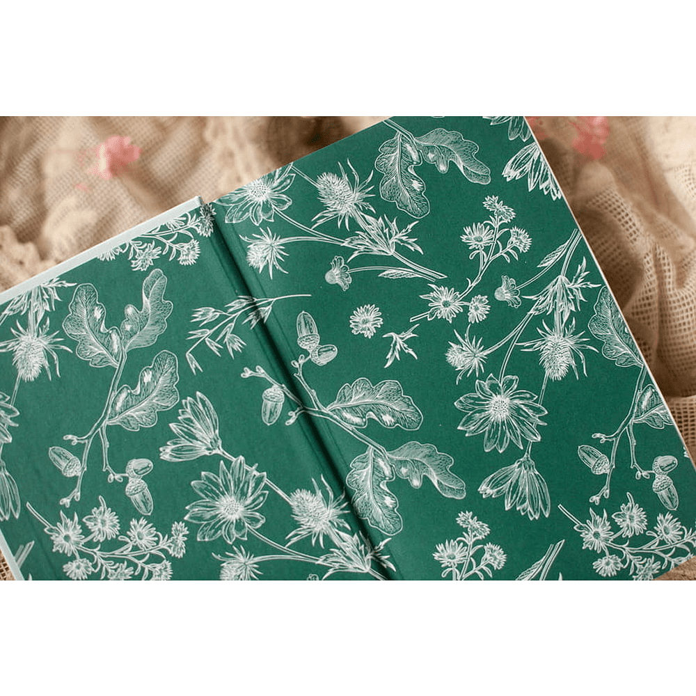 Книга "Кружевная классика. Гордость и предубеждение", Джейн Остен - 3