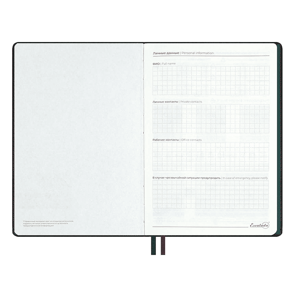 Ежедневник полудатированный "Тиволи Делавэ", А5, 384 страницы, зелёный - 5