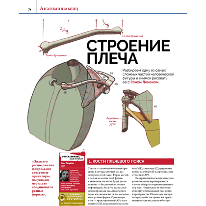 Книга "Анатомия. Создание реалистичных людей и животных + мастер-классы по QR-коду", FX Imagine - 6