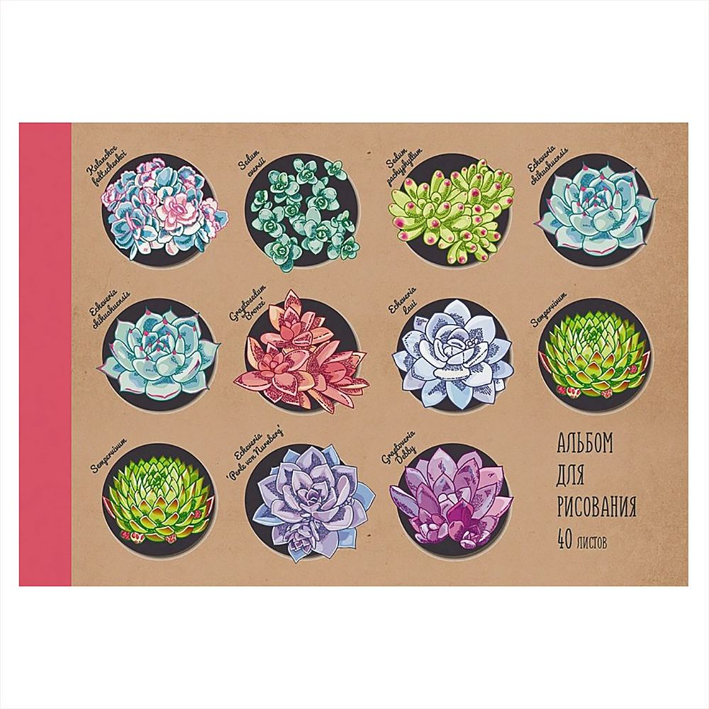 Альбом для рисования "Коллекция цветов", A4. 40 листов, склейка