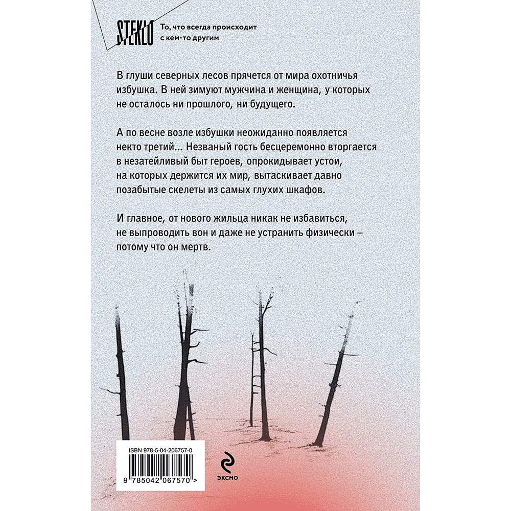 Книга "Сгинь!", Настасья Реньжина - 2