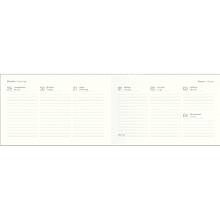 Еженедельник датированный "Pear" на 2026 год, А6, 128 страниц, на резинке, оранжевые груши