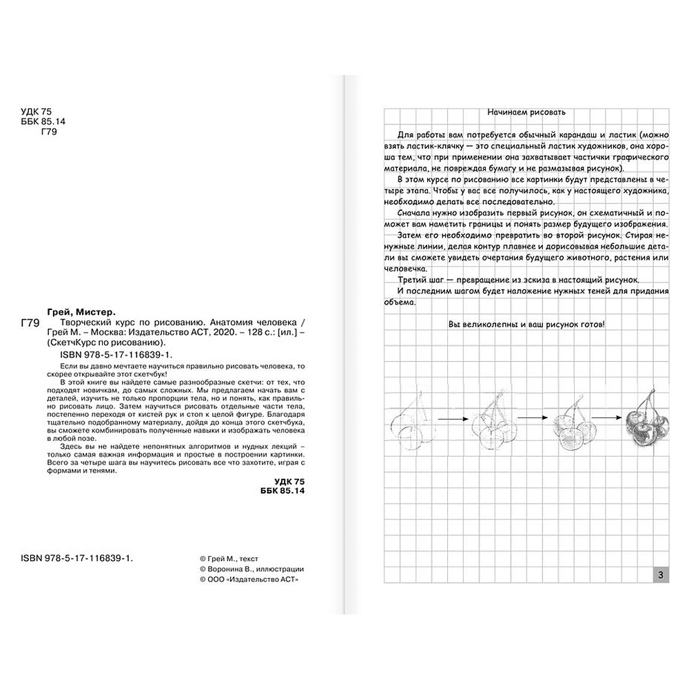 Книга "Творческий курс по рисованию. Анатомия человека", Мистер Грей - 2
