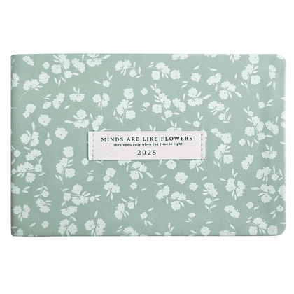 Еженедельник датированный "June" на 2026 год, А6, 128 страниц, мятный