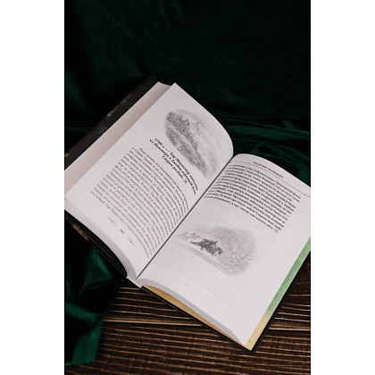 Книга "Падение Нуменора (с иллюстрациями Алана Ли)", Джон Р. Р. Толкин - 6