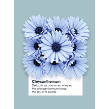 Блокнот "Гербарий.2", A6, 60 листов, клетка, голубой