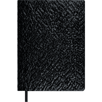 Ежедневник недатированный "Аспид Глосс", А6+, 320 страниц, линейка, черный