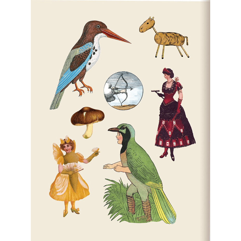 Книга на английском языке "The Antiquarian Sticker Book: Bibliophilia", Odd Dot - 5