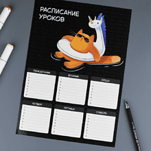Расписание уроков "Суперкот", А4, черный, оранжевый